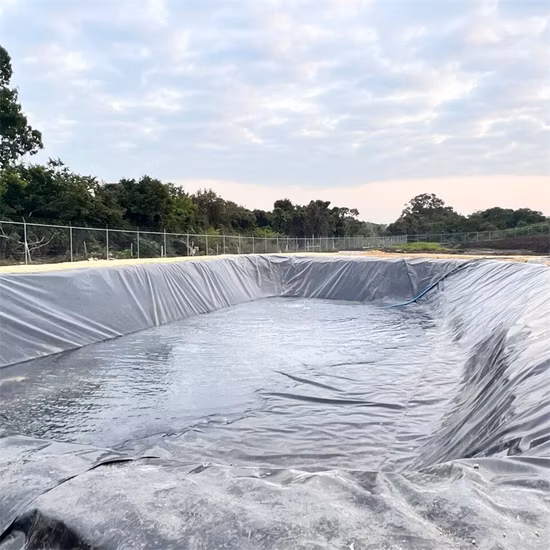 Fabricant personnalisé de géomembrane texturée/composite HDPE/LDPE/PE/EV/ECB/PVC pour l'aquaculture/ferme piscicole/crevettes/étang/barrage/décharge/exploitation minière/sel/revêtement de résidus