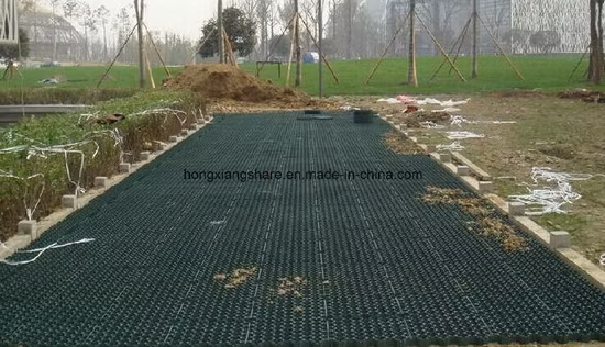 Grille de plantation d'herbe naturelle pour plante à gazon