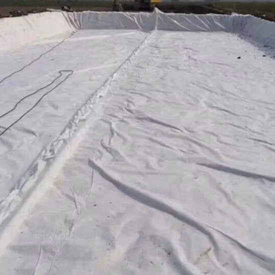 Prix ​​d'usine 150g 200g 300g 400g 500g 800g 1000g PP renforcé/polyester Pet tissé/prix géotextile non tissé pour la construction de routes